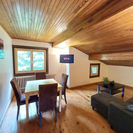 Logement Mansarde Dans Maison Avec Jardin En Bord De Piste, Vue Montagne 莱苏什 外观 照片