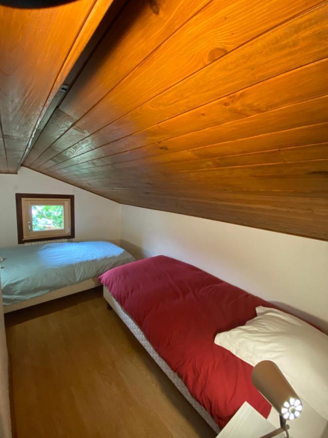 Logement Mansarde Dans Maison Avec Jardin En Bord De Piste, Vue Montagne 莱苏什 外观 照片