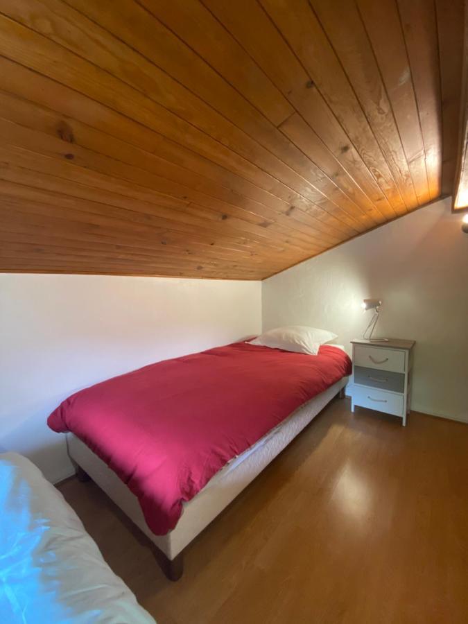 Logement Mansarde Dans Maison Avec Jardin En Bord De Piste, Vue Montagne 莱苏什 外观 照片