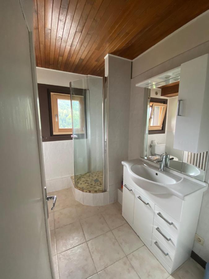 Logement Mansarde Dans Maison Avec Jardin En Bord De Piste, Vue Montagne 莱苏什 外观 照片