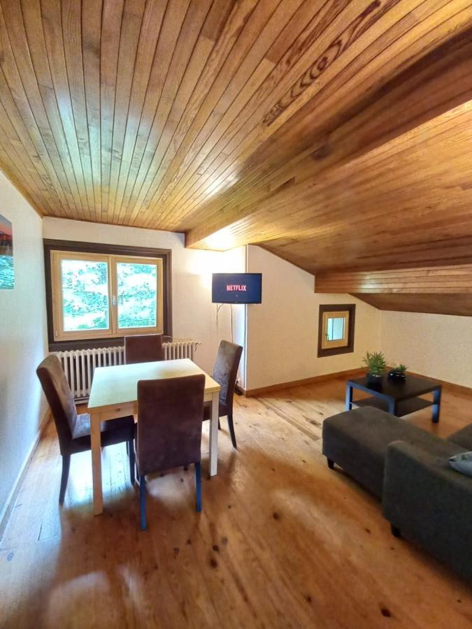 Logement Mansarde Dans Maison Avec Jardin En Bord De Piste, Vue Montagne 莱苏什 外观 照片
