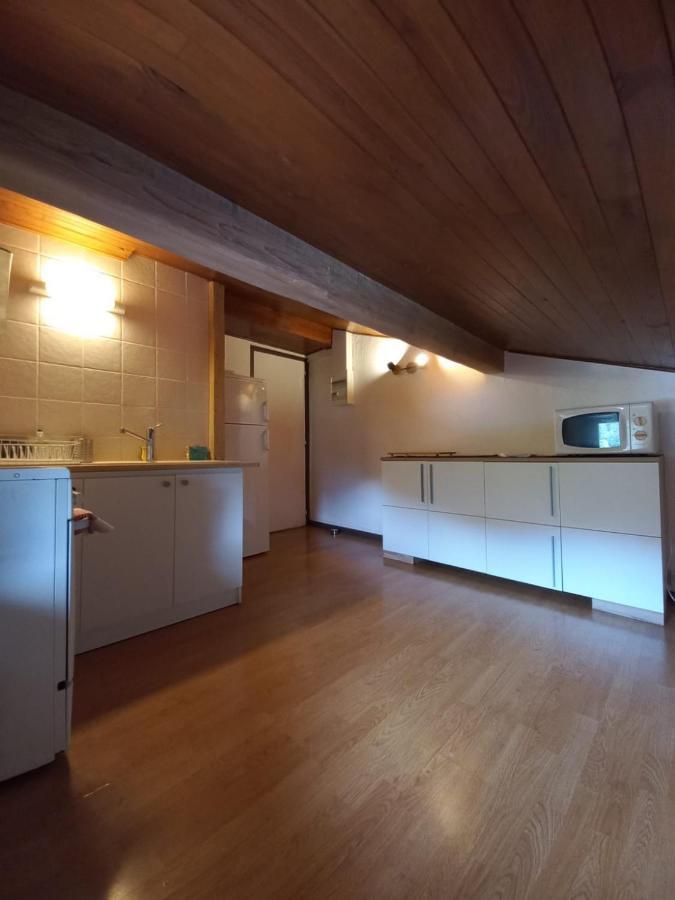 Logement Mansarde Dans Maison Avec Jardin En Bord De Piste, Vue Montagne 莱苏什 外观 照片