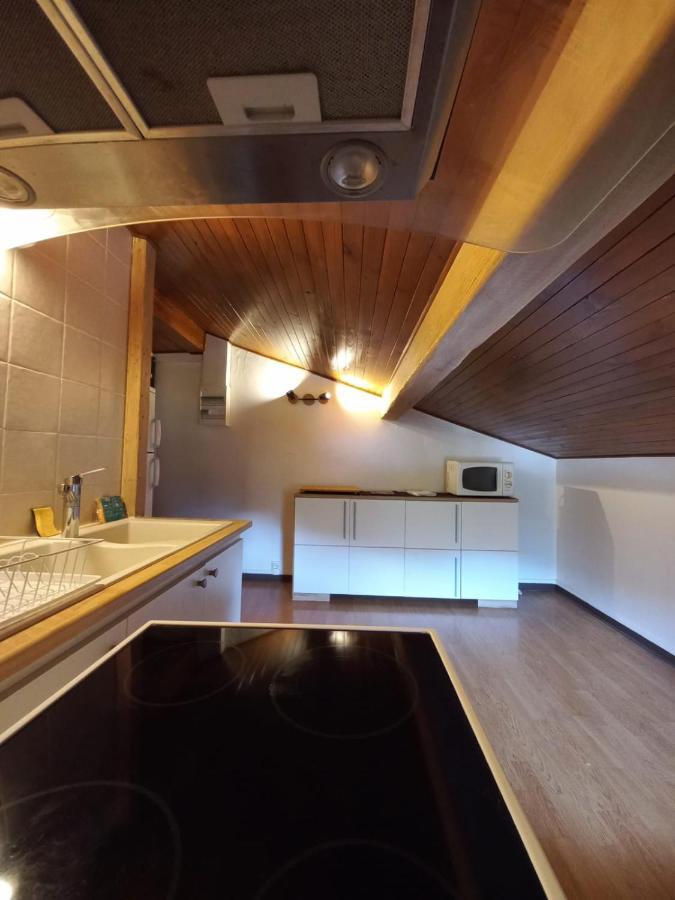 Logement Mansarde Dans Maison Avec Jardin En Bord De Piste, Vue Montagne 莱苏什 外观 照片