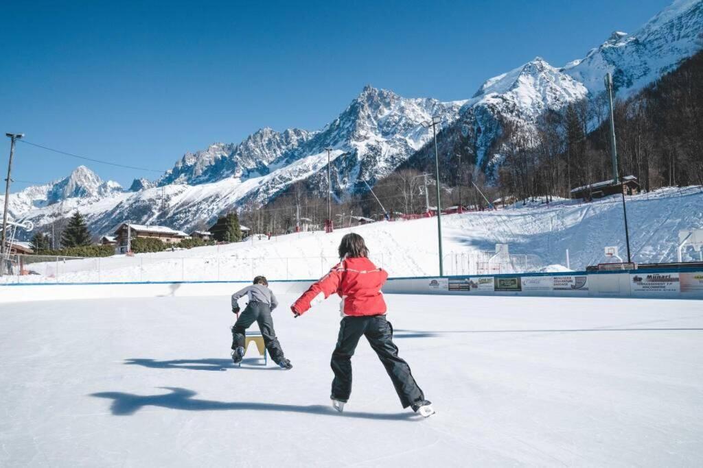 Logement Mansarde Dans Maison Avec Jardin En Bord De Piste, Vue Montagne 莱苏什 外观 照片